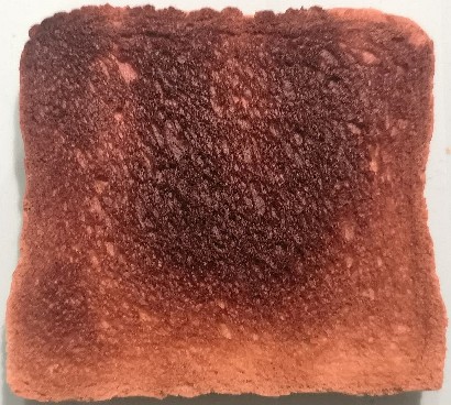 Toast 10